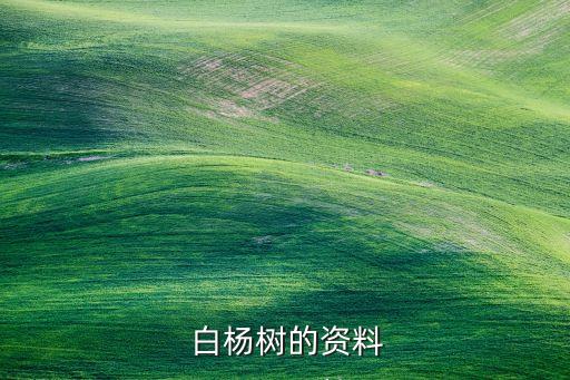  白楊樹的資料