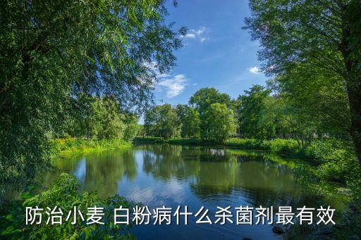白粉病預防用什么農藥,如何預防白粉病,什么藥