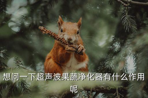 想問一下超聲波果蔬凈化器有什么作用呢