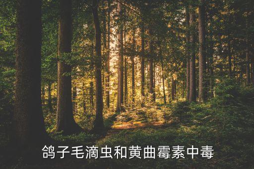 什么農藥不能毒死鴿子,被農藥毒死的鴿子能吃嗎