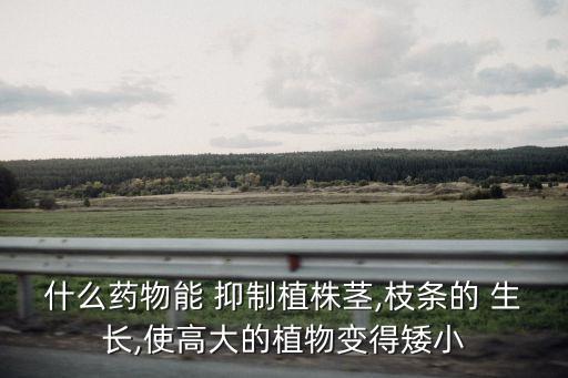 葉片上的蟲子用什么農(nóng)藥,什么農(nóng)藥能抑制葉片生長