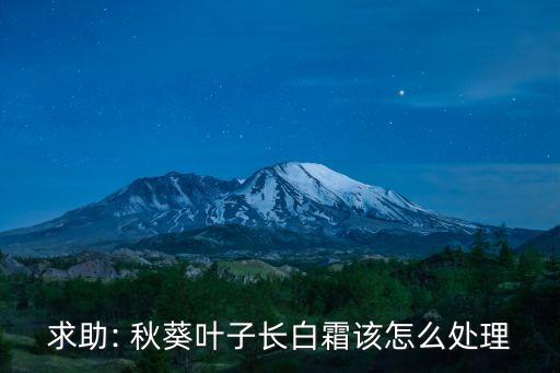 秋葵打什么農藥,秋葵用什么農藥好