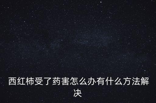  西紅柿受了藥害怎么辦有什么方法解決