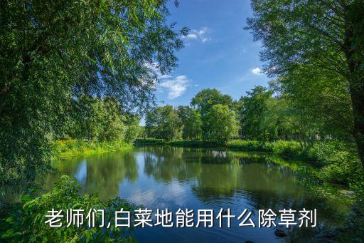 大白菜應該打什么農藥