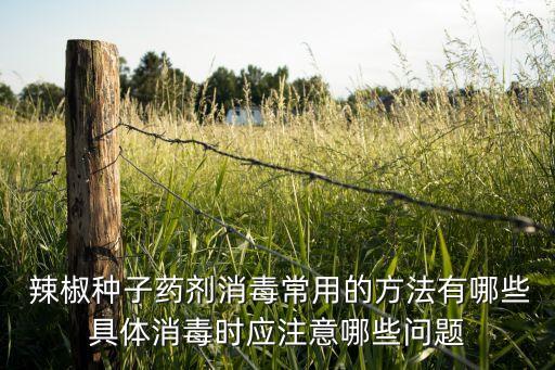  辣椒種子藥劑消毒常用的方法有哪些具體消毒時應(yīng)注意哪些問題