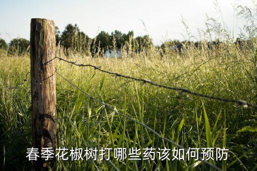 春天打什么農藥好,春天小麥打什么農藥