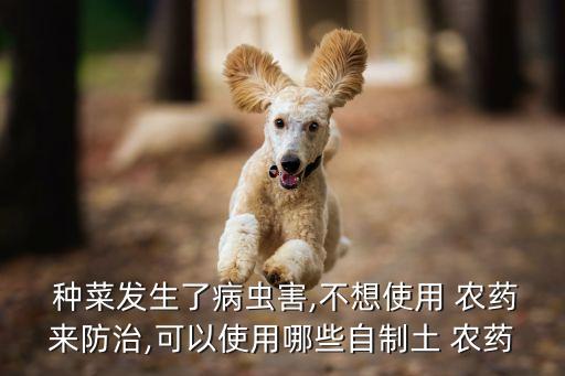 種菜用什么農藥殺蟲子,種菜不噴農藥,如何防蟲子
