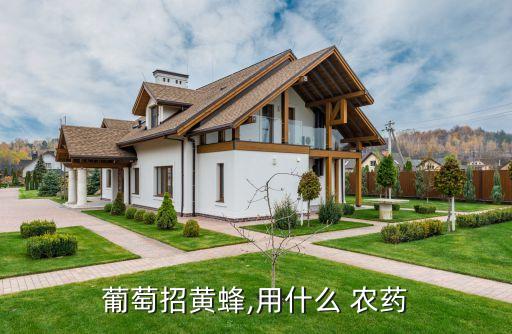 葡萄招黃蜂,用什么 農(nóng)藥
