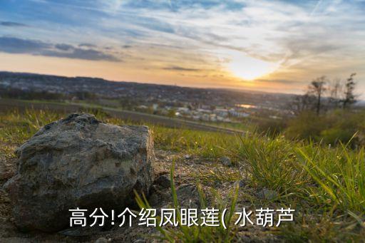 治理農(nóng)田水葫蘆用什么農(nóng)藥,什么農(nóng)藥可以殺死水葫蘆