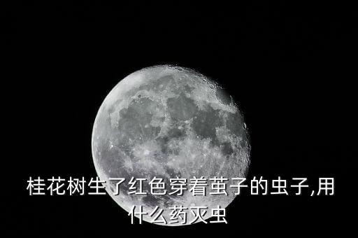 桂花得紅蜘蛛用什么農藥,桂花紅蜘蛛病蟲害圖片