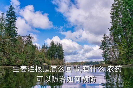 生姜打什么農藥最好用呢,一般什么時間打農藥最好