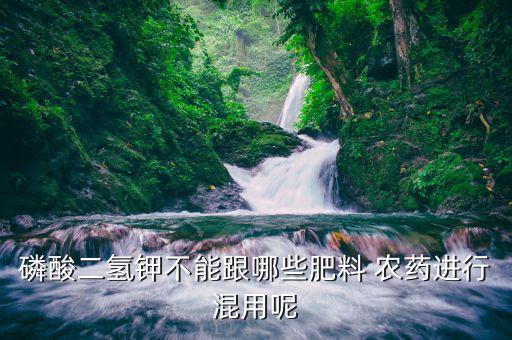 磷酸二氫鉀不能跟哪些肥料 農藥進行混用呢