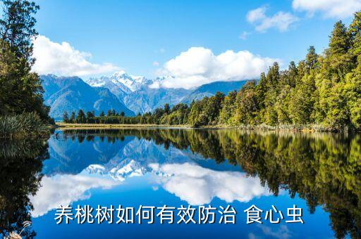 養(yǎng)桃樹如何有效防治 食心蟲