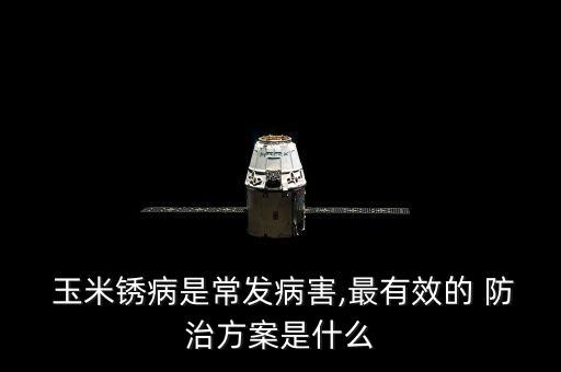 防治玉米銹病的首選農藥,什么農藥防治玉米
