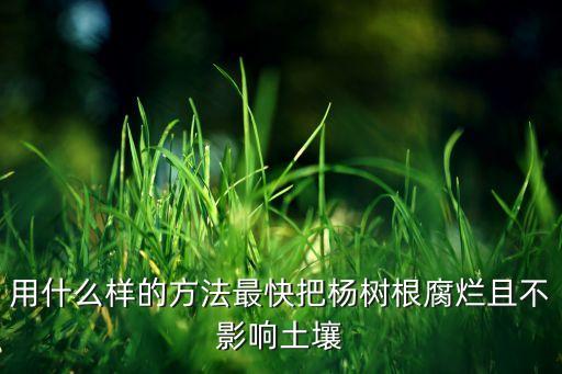 什么農藥讓草爛根快,爛根用什么農藥最好