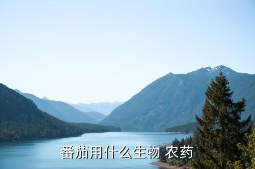 番茄用什么生物 農(nóng)藥