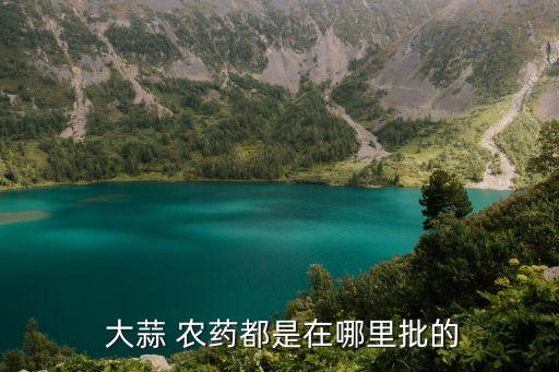  大蒜 農藥都是在哪里批的