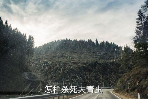 辣子起蟲用什么農藥,治洋辣子用什么農藥