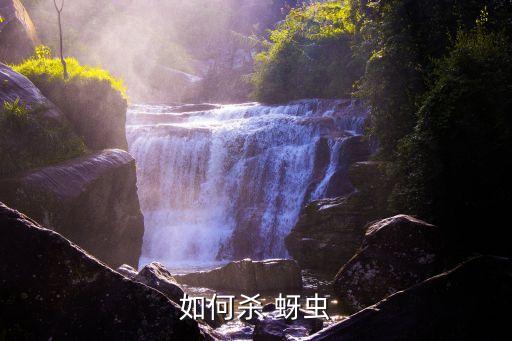 如何殺 蚜蟲