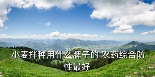  小麥拌種用什么牌子的 農藥綜合防性最好