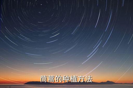 蒿子用什么農(nóng)藥,蒿子草有什么功效