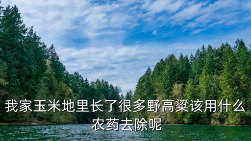 高梁殺什么農藥,高梁控旺用什么農藥