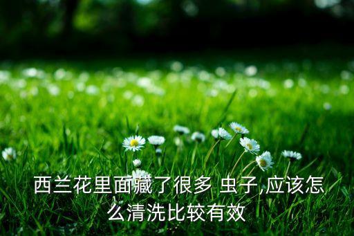  西蘭花里面藏了很多 蟲子,應該怎么清洗比較有效