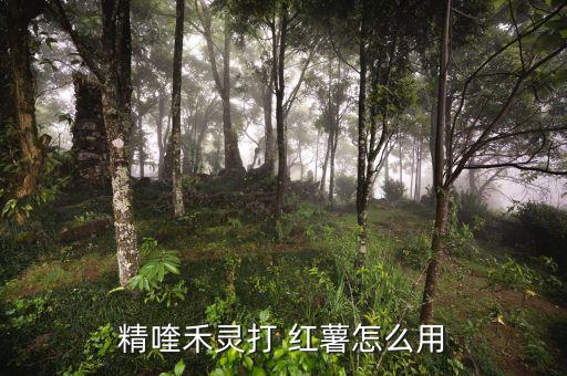紅薯忌諱什么農藥,紅薯要噴什么農藥呢