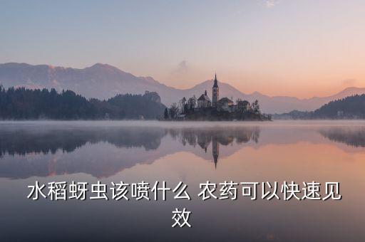  水稻蚜蟲該噴什么 農藥可以快速見效