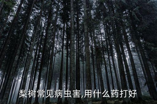 梨打什么農藥發白,打農藥一般什么時間打比較好