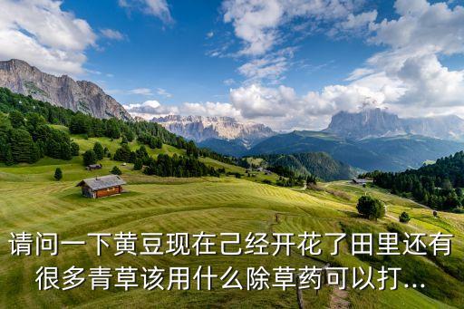 請問一下黃豆現(xiàn)在己經(jīng)開花了田里還有很多青草該用什么除草藥可以打...