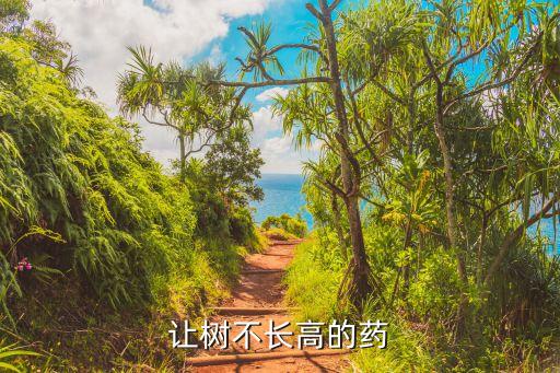 讓樹不長高的藥