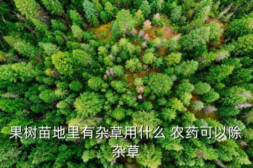尖草用什么農藥可以根除