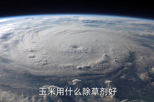  玉米用什么除草劑好