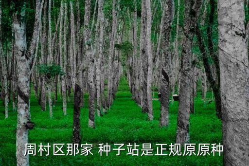 周村區那家 種子站是正規原原種
