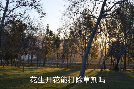  花生開花能打除草劑嗎
