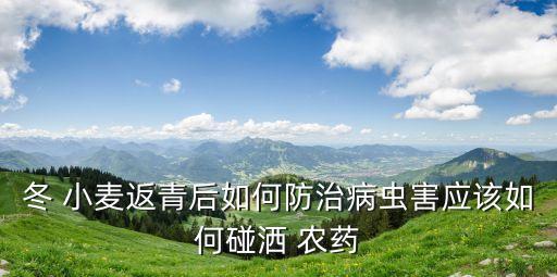 冬 小麥返青后如何防治病蟲害應該如何碰灑 農藥