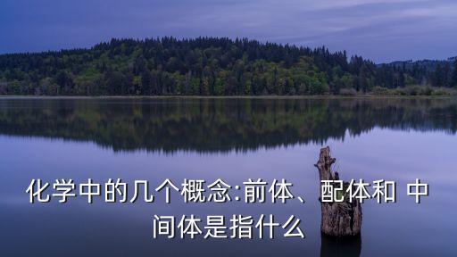 化學(xué)中的幾個(gè)概念:前體、配體和 中間體是指什么