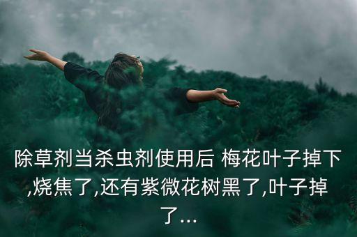 除草劑當殺蟲劑使用后 梅花葉子掉下,燒焦了,還有紫微花樹黑了,葉子掉了...