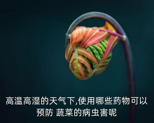高溫高濕的天氣下,使用哪些藥物可以預防 蔬菜的病蟲害呢
