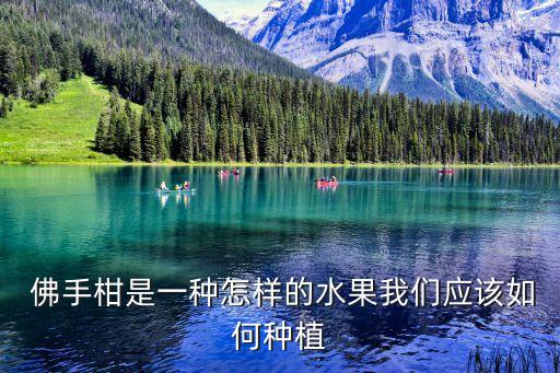 佛手柑用什么農藥消毒,用什么農藥給土壤消毒