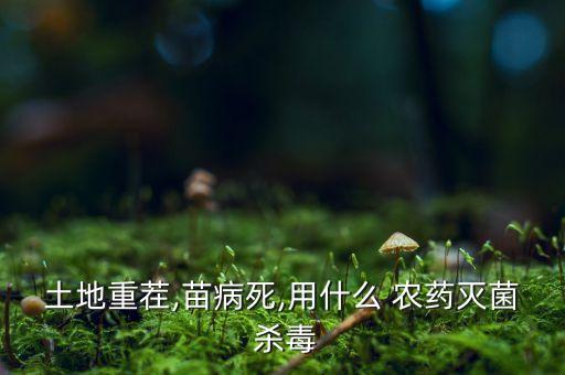 什么農(nóng)藥殺毒效果好,螢火蟲用什么農(nóng)藥效果好?
