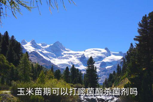  玉米苗期可以打嘧菌酯殺菌劑嗎
