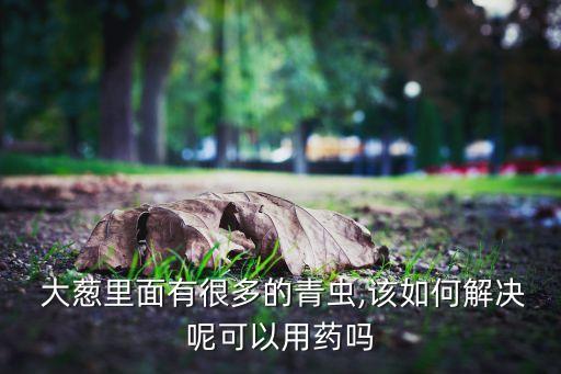 大蔥用什么農藥殺青蟲,大蔥打什么農藥綠油油