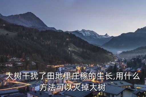 大樹干擾了田地里莊稼的生長,用什么方法可以滅掉大樹