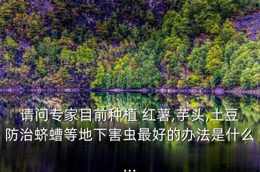 紅薯防蛀蟲用什么農藥好,樹上蛀蟲用什么農藥打