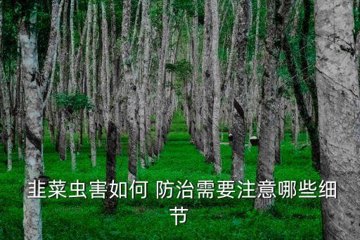  韭菜蟲害如何 防治需要注意哪些細節