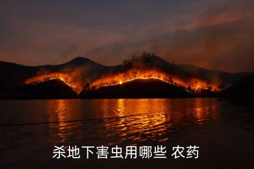 殺地下害蟲用哪些 農(nóng)藥