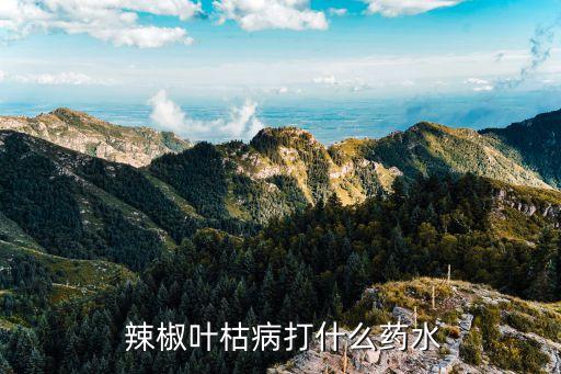辣椒爛葉用什么農藥好,辣椒花期打什么農藥