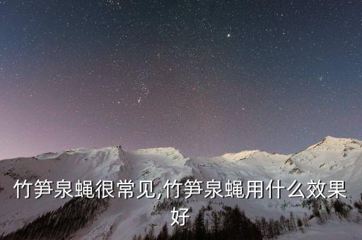 竹筍泉蠅很常見,竹筍泉蠅用什么效果好